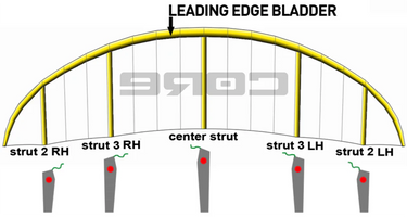 Bladder Position Core